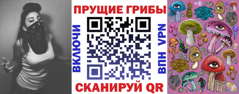 Псилоцибиновые грибы Psilocybine cubensis  закладка  Амурск 