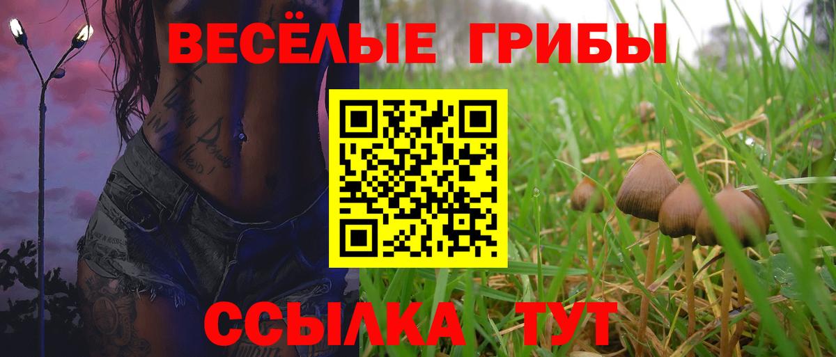 Псилоцибиновые грибы прущие грибы Амурск